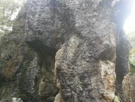 Peñasnegras DBH 3