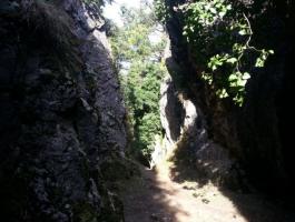 Peñasnegras DBH 3