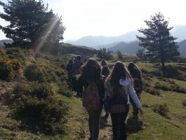 Peñasnegras DBH 3