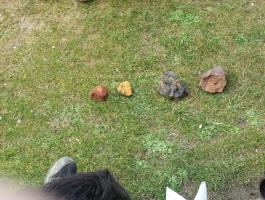 Peñasnegras DBH 3