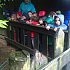 basondon-hh-3-urte