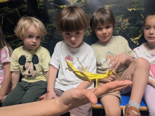 Animaliak gertutik, Haur Hezkuntzan