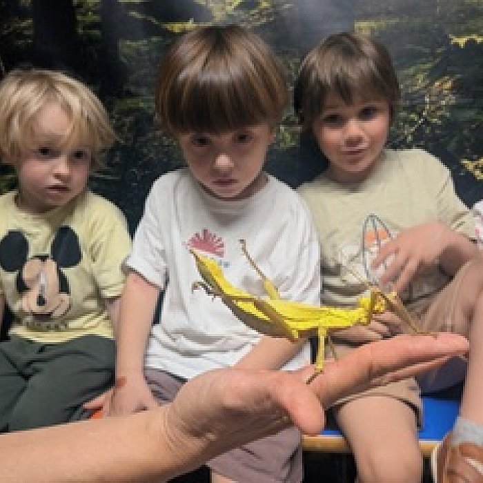 Animaliak gertutik, Haur Hezkuntzan